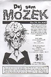 Give me the Brain