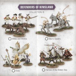 Heroscape : Defenders of Kinsland