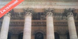 L'actionnaire
