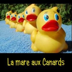 La Mare aux Canards