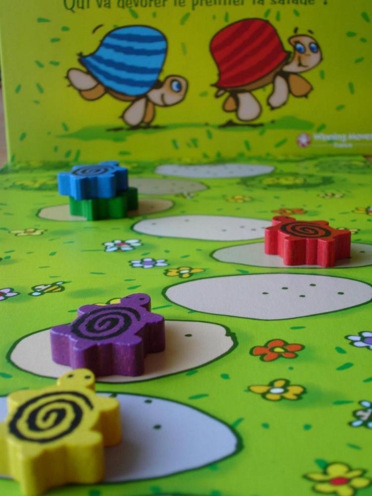 La Maxi Course des Tortues