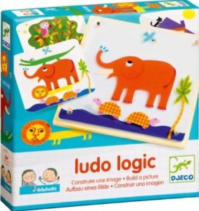 Ludo Logic