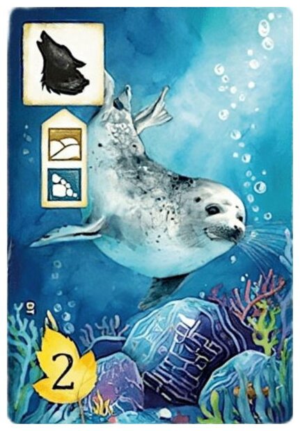 Meadow - Seal