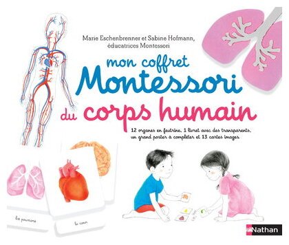 Mon Coffret Montessori Du Corps Humain