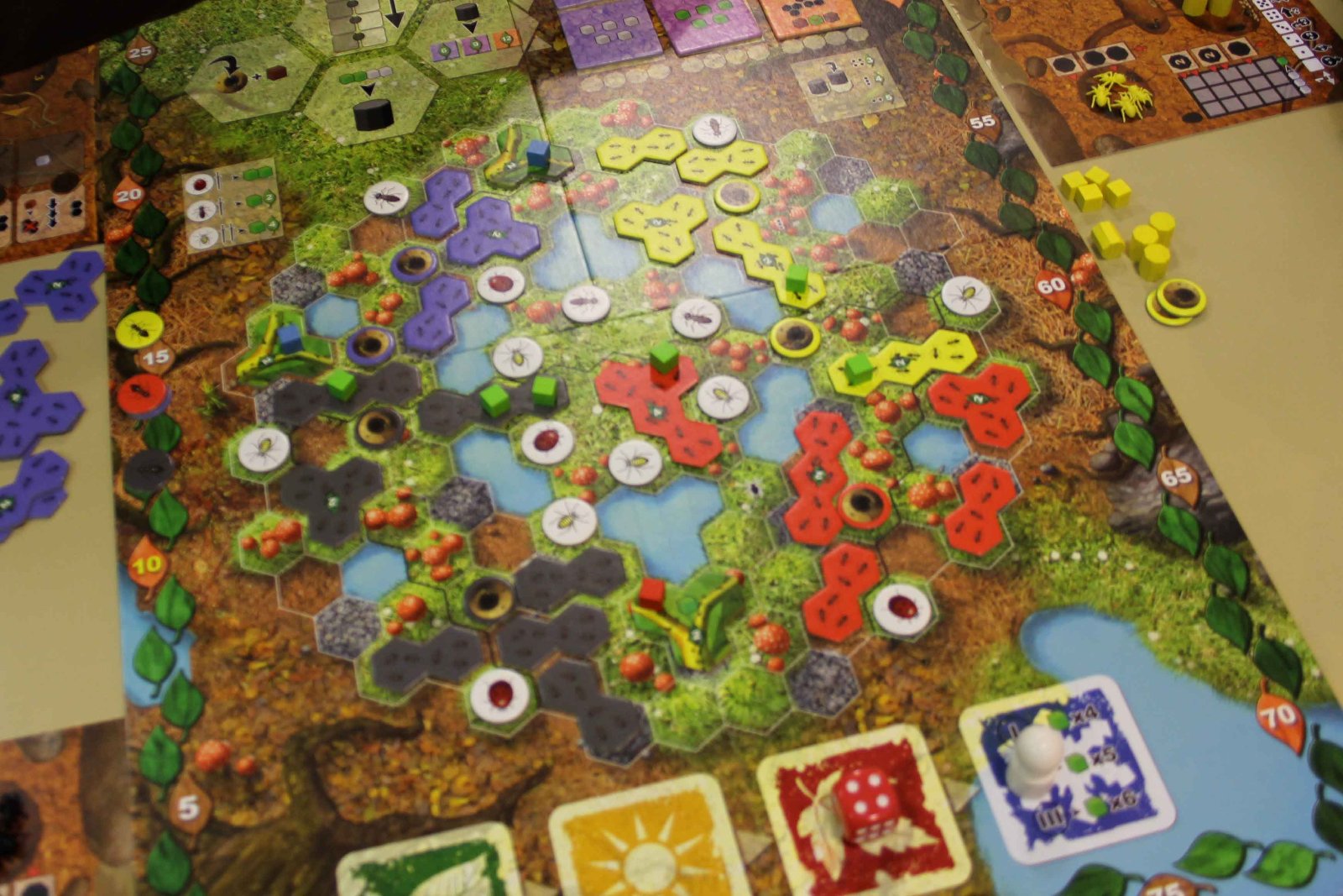 Photo: Myrmes