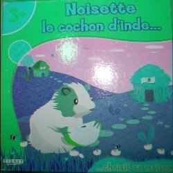 Noisette le cochon d'inde