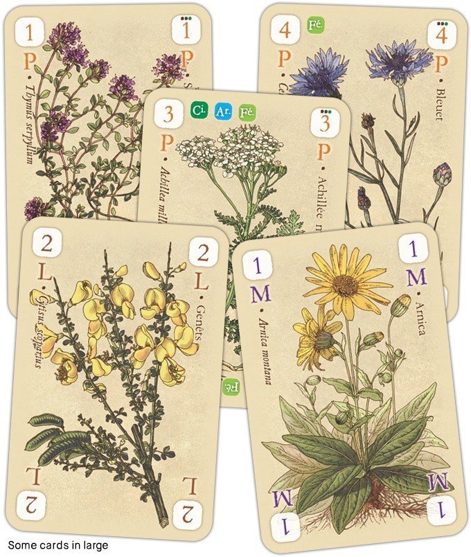 Officinalis