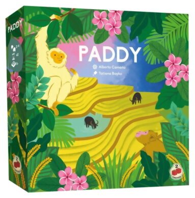 Paddy