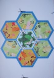 Palatinus : Insula Tiberina