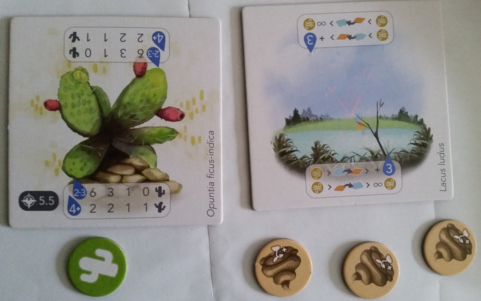 Petrichor : Kickstarter Promo