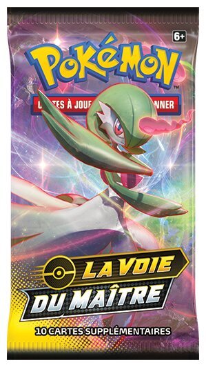 Pokémon JCC - Booster - La Voie Du Maître