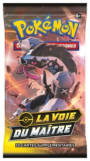 Pokémon JCC - Booster - La Voie Du Maître