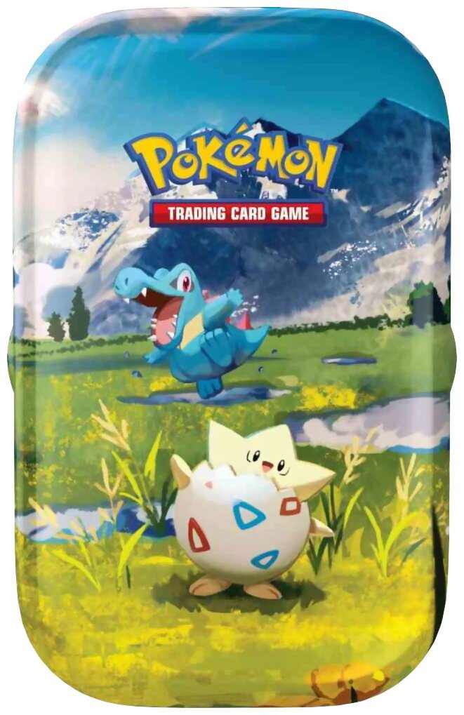 Pokémon JCC - Mini-Boîte - Héros Transcendant