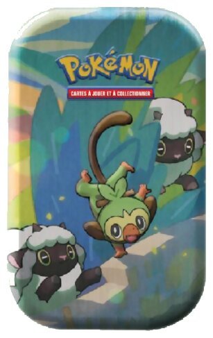 Pokémon JCC - Mini-boîte - Les Amis de Galar