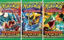 Pokemon JCC : Noir & Blanc- Dragons Exaltés - Booster