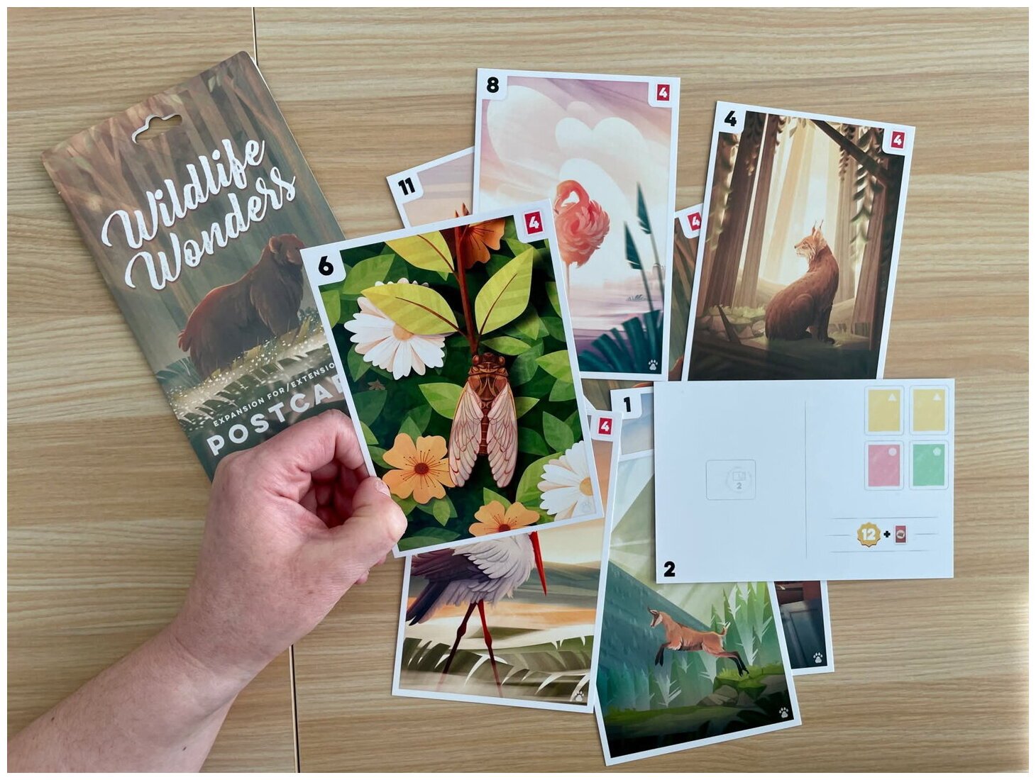 Postcards - Wildlife Wonders