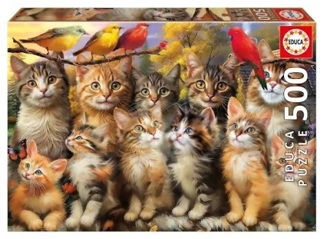 Puzzle - Chatons Et Oiseaux - 500 Pièces
