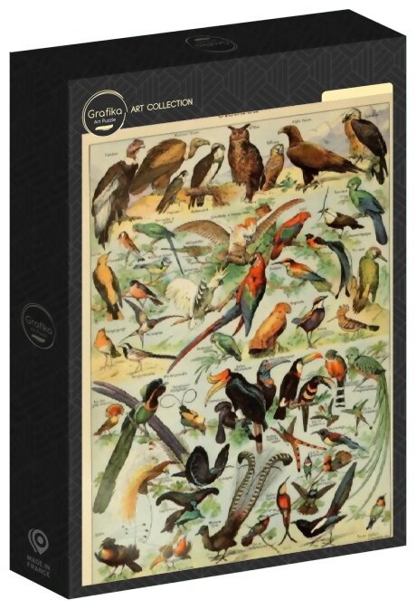 Puzzle - Illustration Du Larousse Pour Tous - Oiseaux, XIXe Siècle - 1000 Pièces