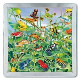 Puzzle Magnétique Grenouilles