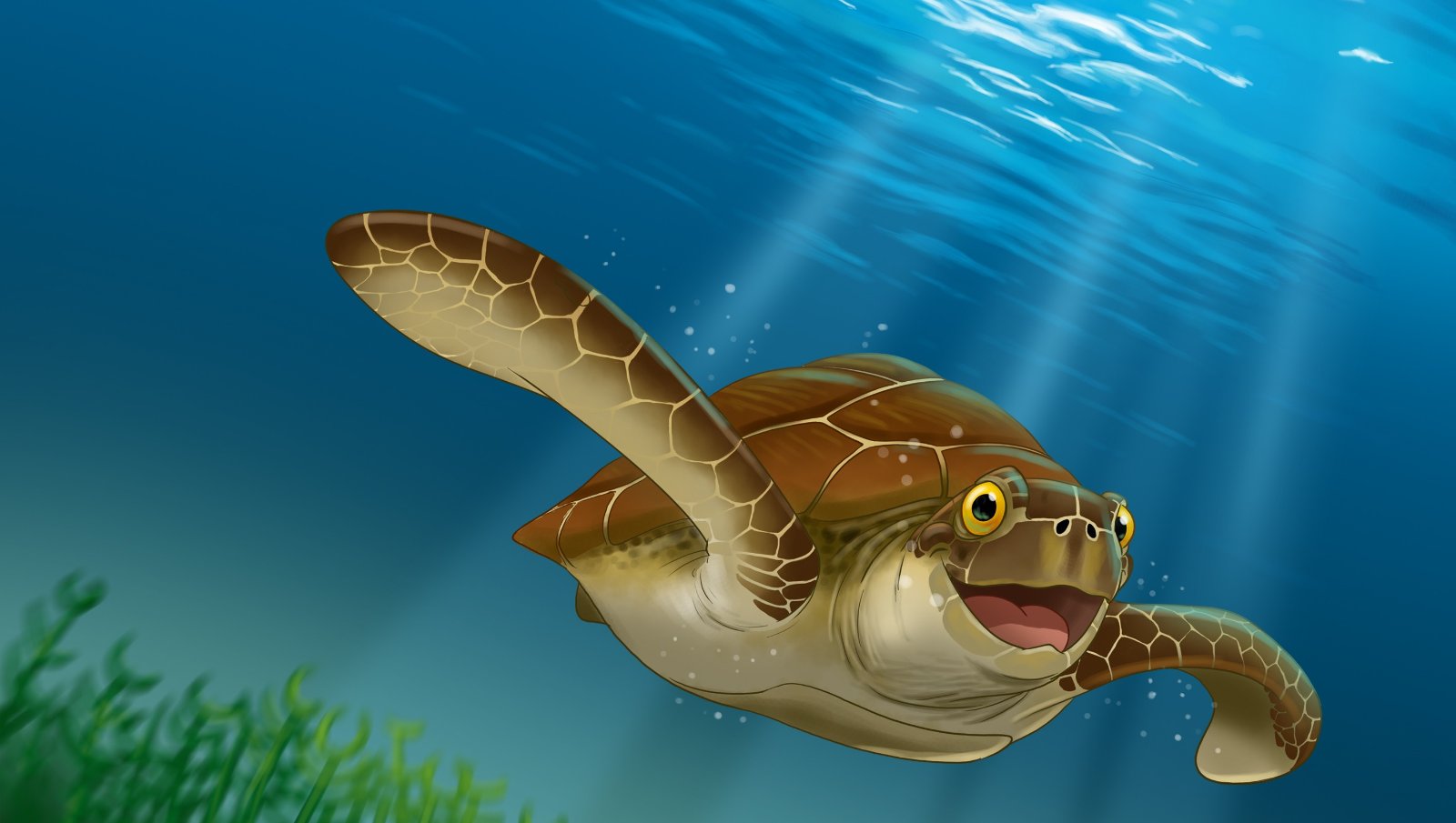 SOS Tortues