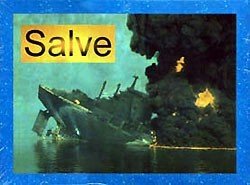 Salve