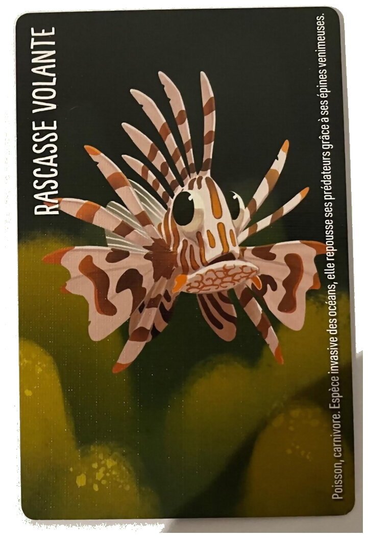 Similo - Animaux Aquatiques - Rascasse Volante