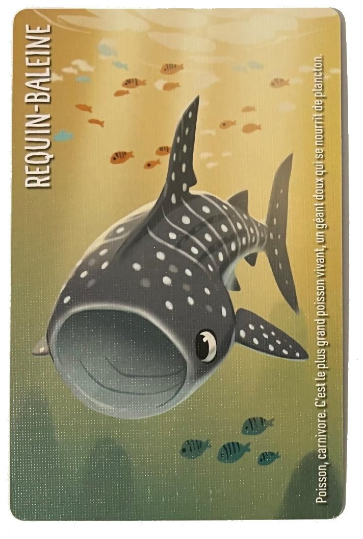 Similo - Animaux Aquatiques - Requin-Baleine