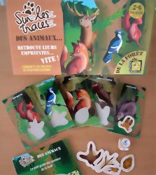 Sur les Traces des Animaux... de la Forêt