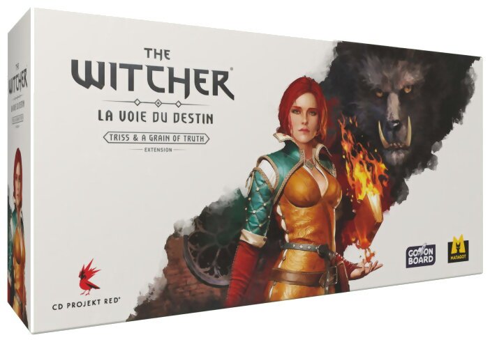 The Witcher La Voie Du Destin - Triss & A Grain of Truth