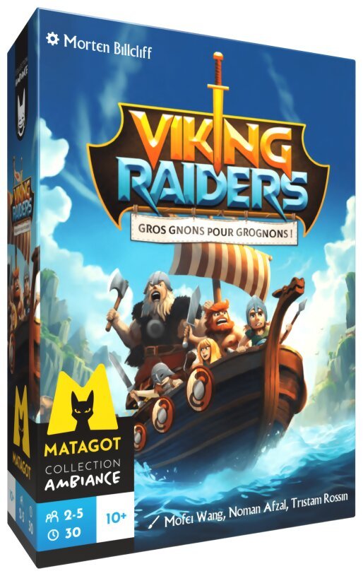 Viking Raiders