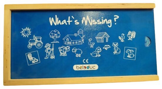 What's Missing ?