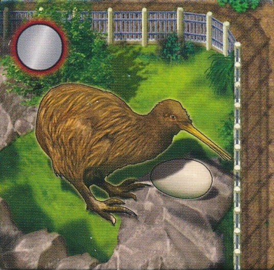 Zooloretto - Extension "Kiwi"