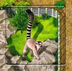 Zooloretto : Katta