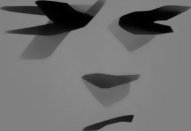 Gray Shuko